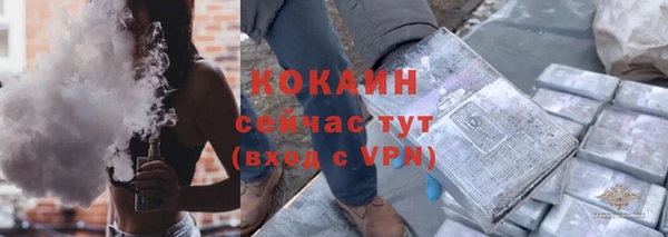 эйфоретик Белокуриха