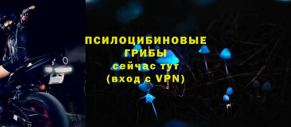 МДПВ Куйбышев