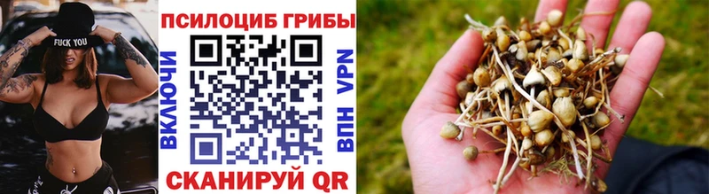 Псилоцибиновые грибы ЛСД  mega зеркало  Куйбышев  наркотики 